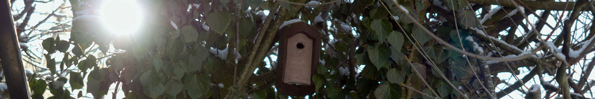 H37_04_Meisenkasten_.jpg